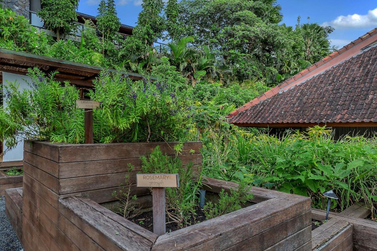 Bisma Eight Villas Ubud Buitenkant foto